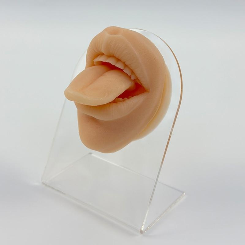 Professional Silicone Body Facials Piercing Trainer With Realistic Skin Texture For Dental Education And Aesthetic Labs