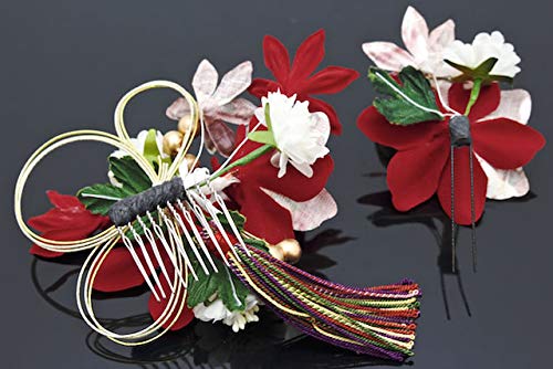 Hair Coming of Age Graduation Dark Mizuhiki Graduation Hair Hair Made In Japan (Soubien) Ornament, Ceremony, Ceremony, 2-Piece Set, Red, Red, Purple,