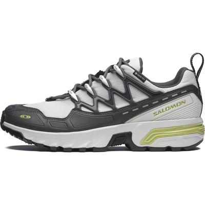 Scarpe da Corsa ACS+ Unisex Basse Sneakers Grigie 478581
