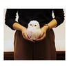 Yoshinori White Owl