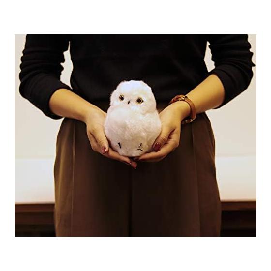Yoshinori White Owl