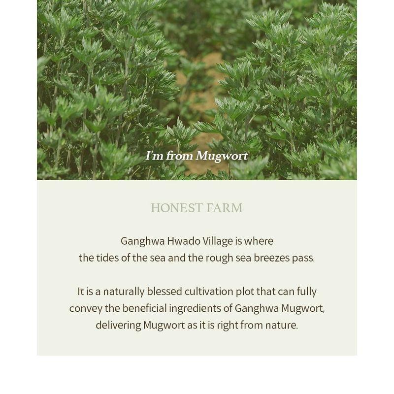 I'M FROM Mugwort Gel Cleanser