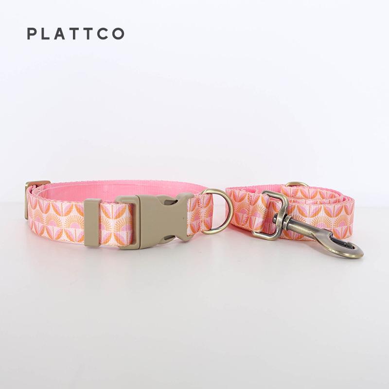 PLATTCO PDC350 Nylon Dog Collar and Leash Set Medium