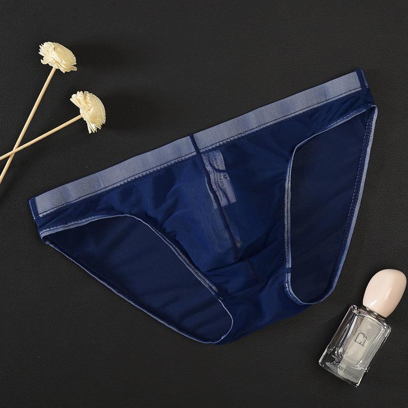Men Soft Underwear Mesh Transparent Panties Low Rise Briefs See Through Breathable Sexy