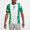 Nike Nigeria Team Home Fan Edition Breathable Quick-Drying Soccer Short Sleeve T-Shirt Men Tops White CT4225-100