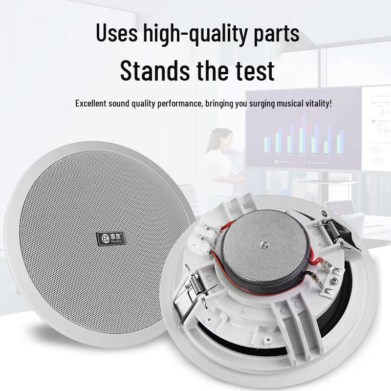 Huidu RS-808A Professional Coaxial Ceiling Speaker (CN version)
