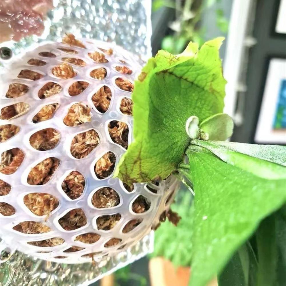 Ausgehöhlte Pflanzen Bodenschutzabdeckung Austauschbare Blumendurchbruchabdeckung Gartenbau