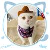 Pet Cowboy Hat Headwear Hat for Dogs/Cat Festival Gift Cosplay Supplies Cowboy Hat Props Headwear Kitten Knight Cap