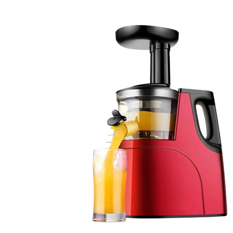 ZISIZ Masticating Juicer