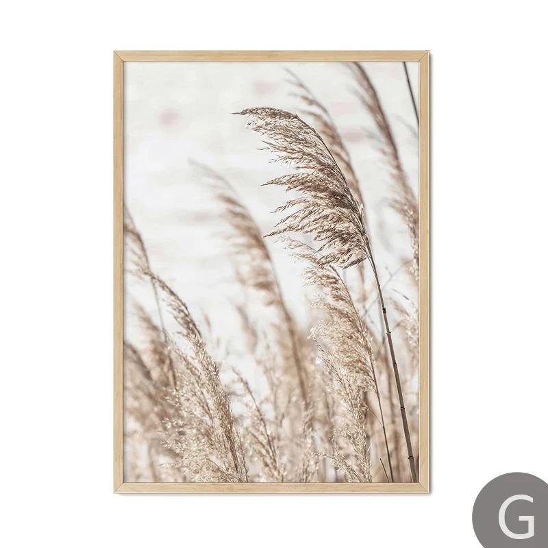Beige Beach Girl Shell Nordic Poster, Canvas Wall Art Print, Landscape Leaf, Reed Decor, Elegant Pictures for Living Room