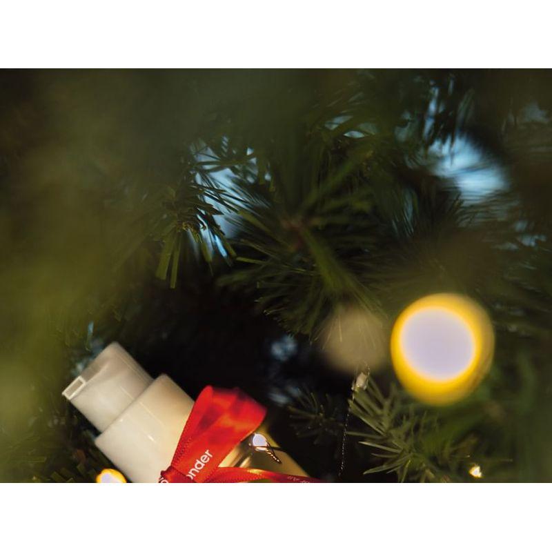 haruharu wonder - Black Rice Moisture Cleansing Oil Christmas Edition
