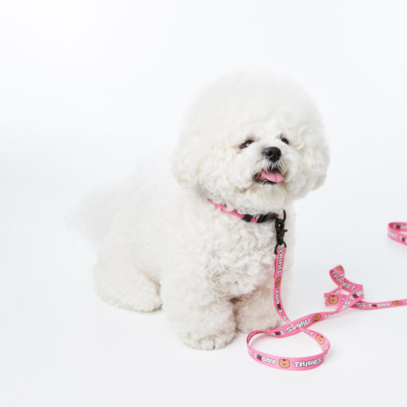 [Earp EarpXKINIKINI]CHERRY COVY LEASH-PINK(lead Rope)