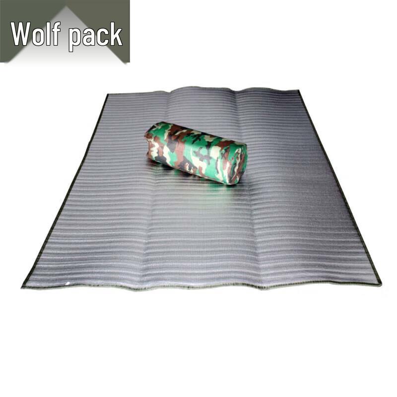Thickened Outdoor Picnic & Beach Mat