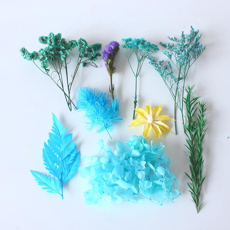 Box Packed Dry Flower Eternal Flower Material Bag DIY Frame Glass Bottle Drip Glue Handmade Real Flower Handicraft Production