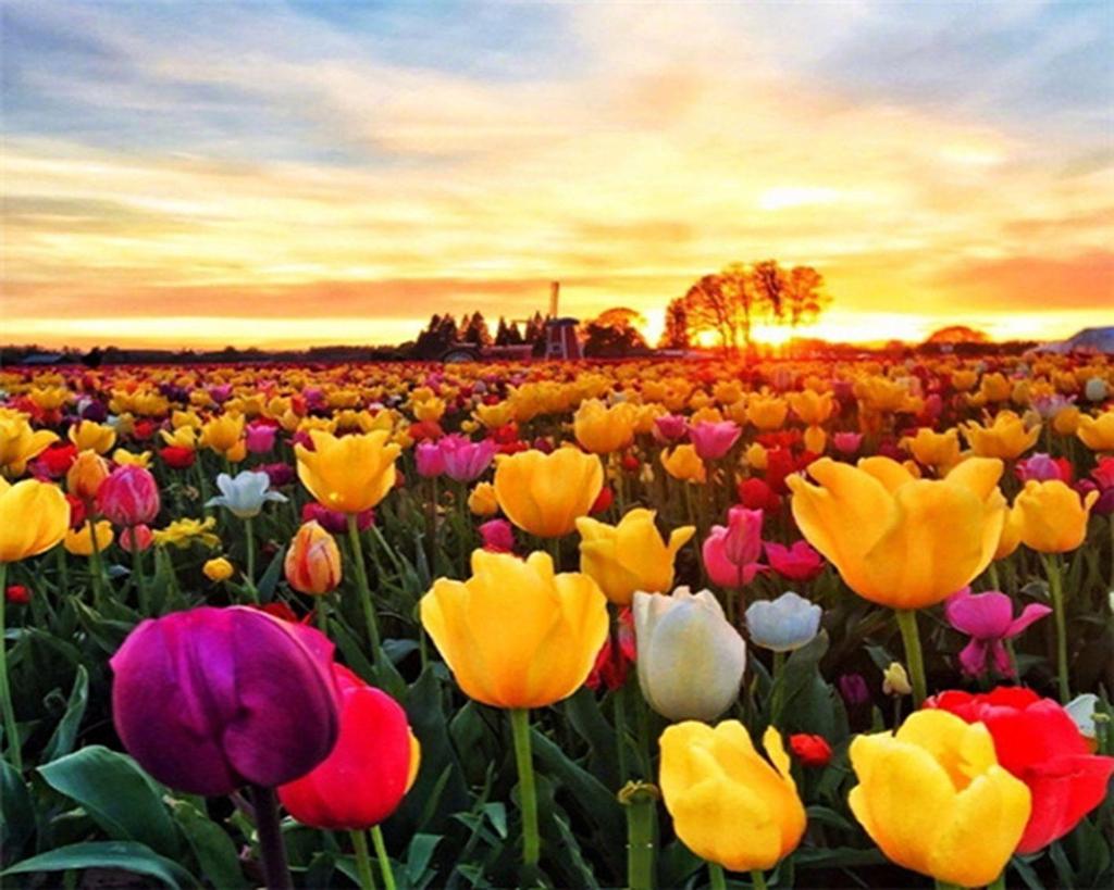 RUOPOTY DIY Frame Oil Painting By Numbers Tulip Flower Home Decor Acrylic Home Decor On Canvas Wall Art Picture For Living Room