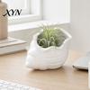 Playful Design Flowerpot 3D Printed Conch Flower Pot, Moisture-Resistant Mini Planter with Wavy Edge And Moisture-resistant Drain Hole Design,