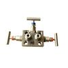 304 Stainless Steel Corrosion-Resistant Flanged Pressure Transmitter with Integrated Three-Valve Manifold