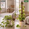 Hollow Out Plant Climbing Trellis Extendable Plant Fixed Frame Flower Arrangement Trellis  Indoor