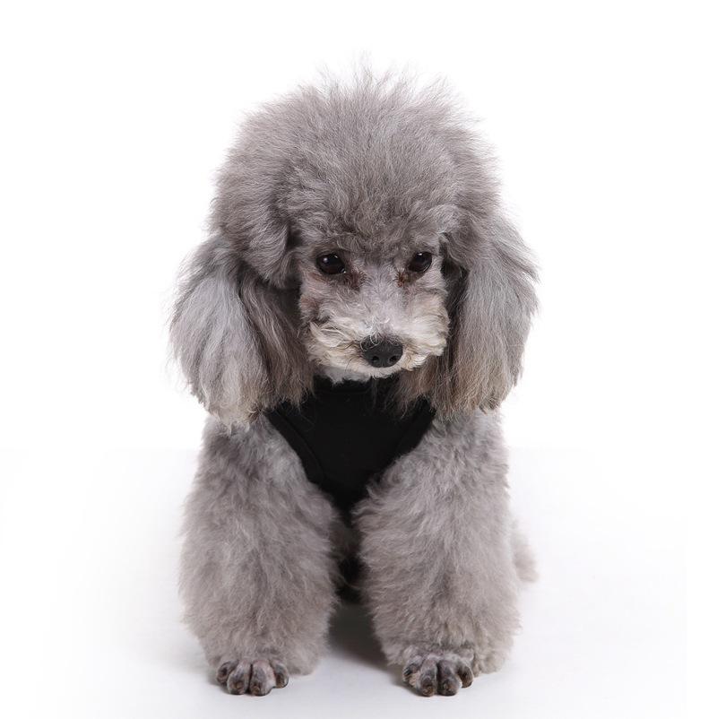 Pet Clothing: Pure Cotton Dog Vest