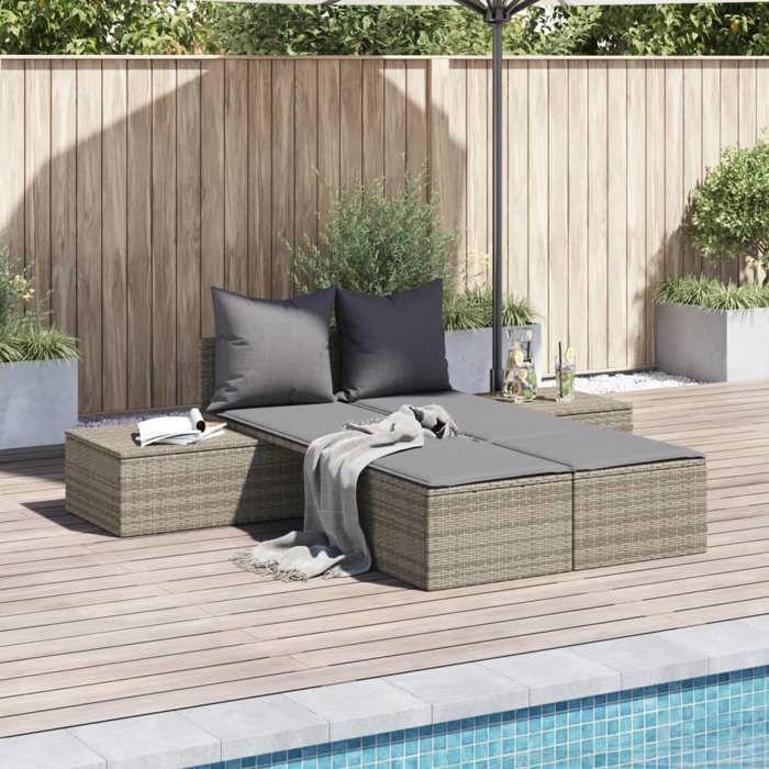 VidaXL Chaise Longue Double avec Coussins, Siège de Patio, Bain de Soleil, Transat de Jardin Balcon Terrasse Arrière-cour, 368391