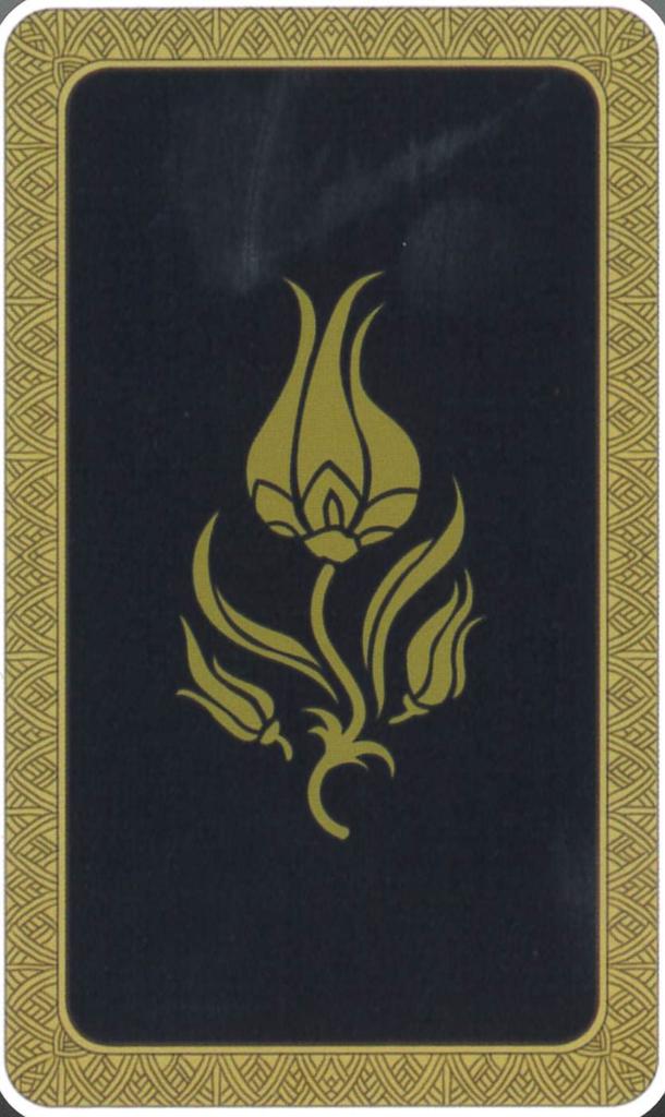 Lenormand Cards by Shigen Yorai 38 Includes Pouch (Classical) Cards, [Authentic]