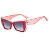 JYL TS Sunglasses Gel Color Style 2839/CH3953