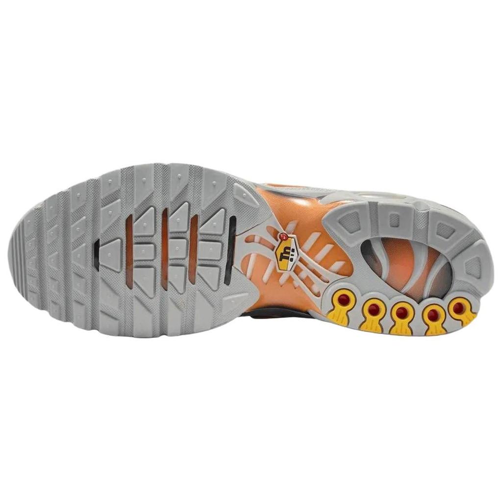 Nike Air Max Plus Bežecké topánky Unisex Sivá DM0032-037