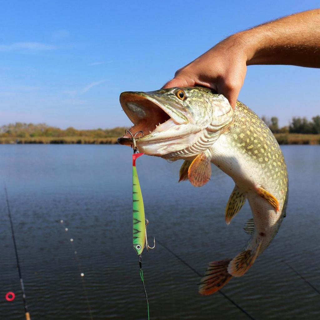 8Pcs Soft Fishing Lures 7.5cm 2.5g Artificial Baits Paddle Tail Swimbaits Fishing Lure for Bass Trout T Tail Baits