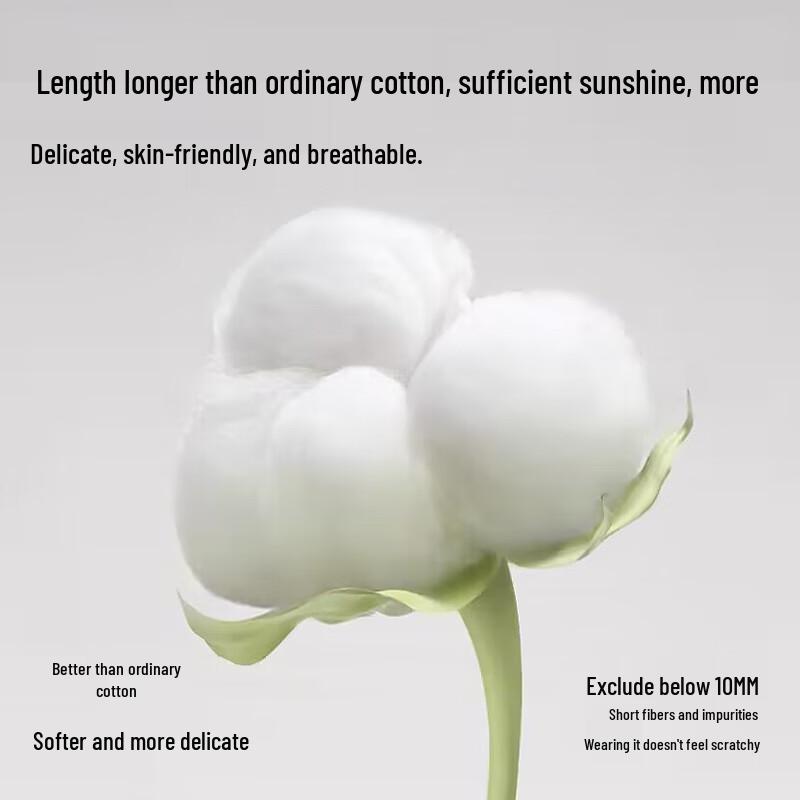 MiiOW Women's Antibacterial Cotton Briefs 4-Pack