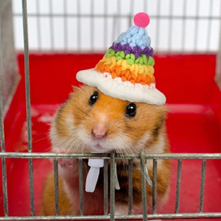 Pet Rabbit Ears Hat Photo Props for Hamster Handwoven Cap Rainbow Carrot