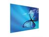 SZKLANA DESKA DO KROJENIA 40x30 MOTYL