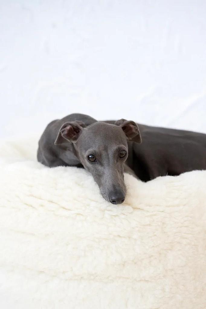 Oval Natural Wool Pet Bed - White 80 cm