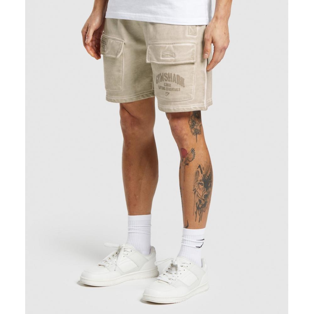 Gymshark Heavyweight Washed Cargo Shorts Pebble Grey A5a6e Gclb.