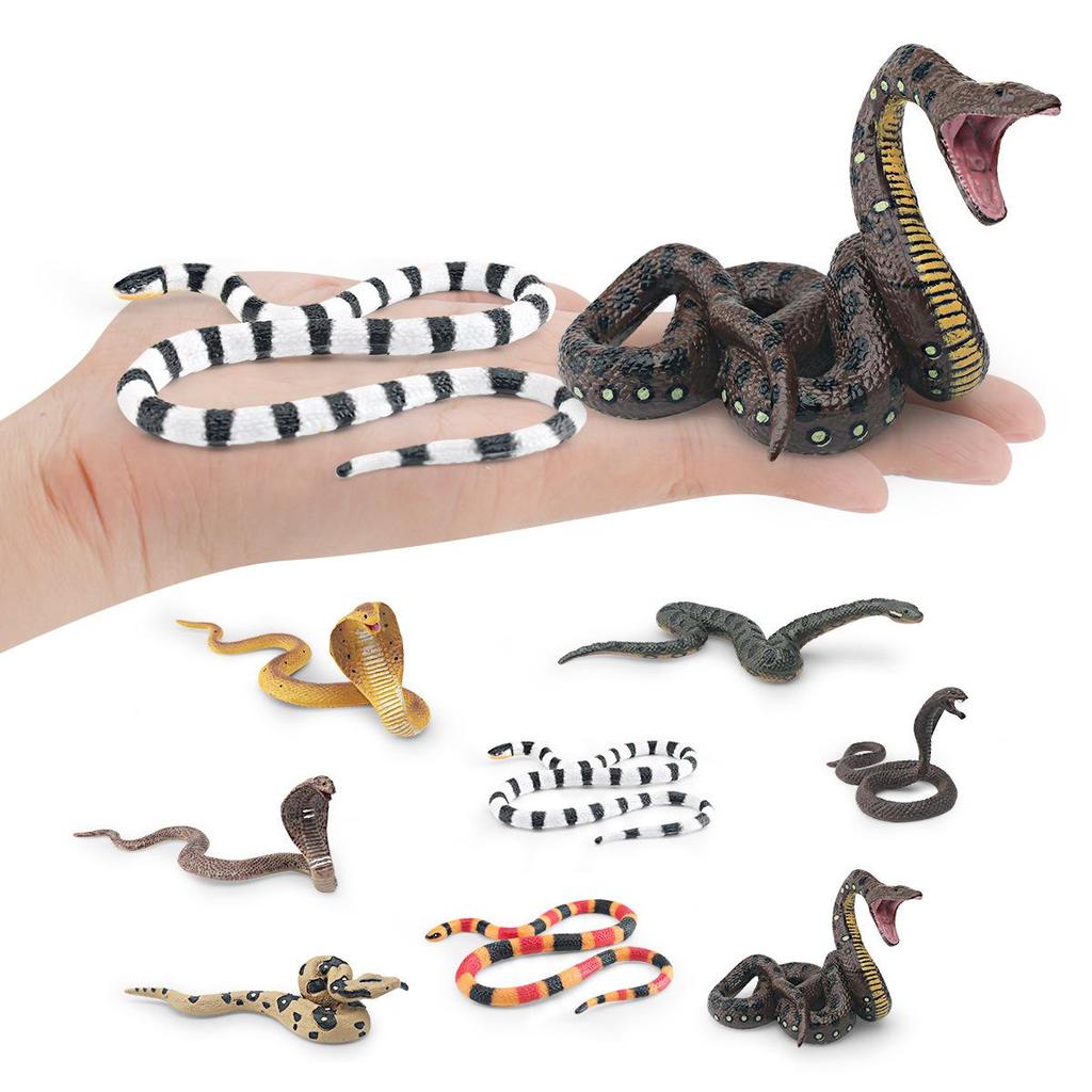 Reptile Simulation: Snake Wildlife Toy - Children's Cognitive Decor Model