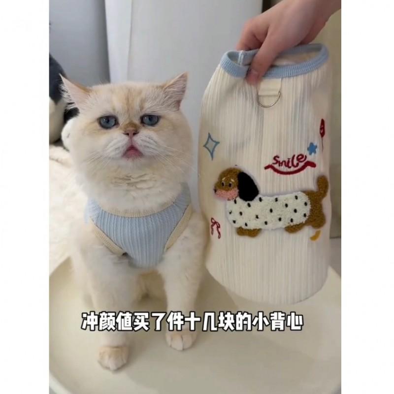 Cat Vest Winter Cute Embroidered Harness-Ready Sweater Ragdoll Golden Shaded Cats