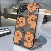Cartoon Tier Süßes Capybara Handyhülle Für iPhone 16 15 14 13 12 11 Pro Max Mini XS XR X 7 8 Plus Stoßfest Weiche Klare Hülle