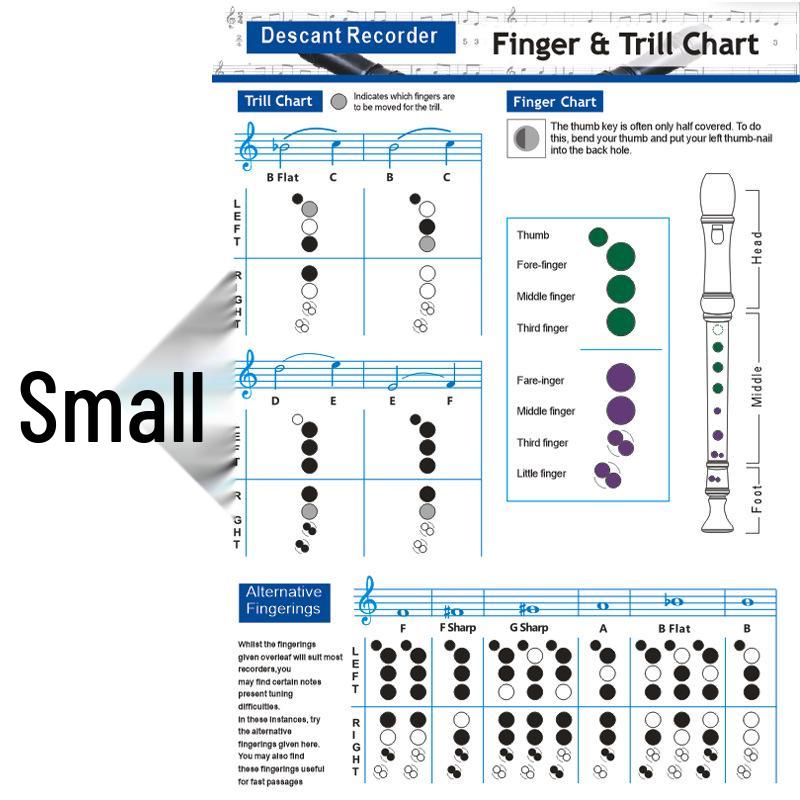 8-Hole Bass Recorder Fingering & Chord Practice Chart