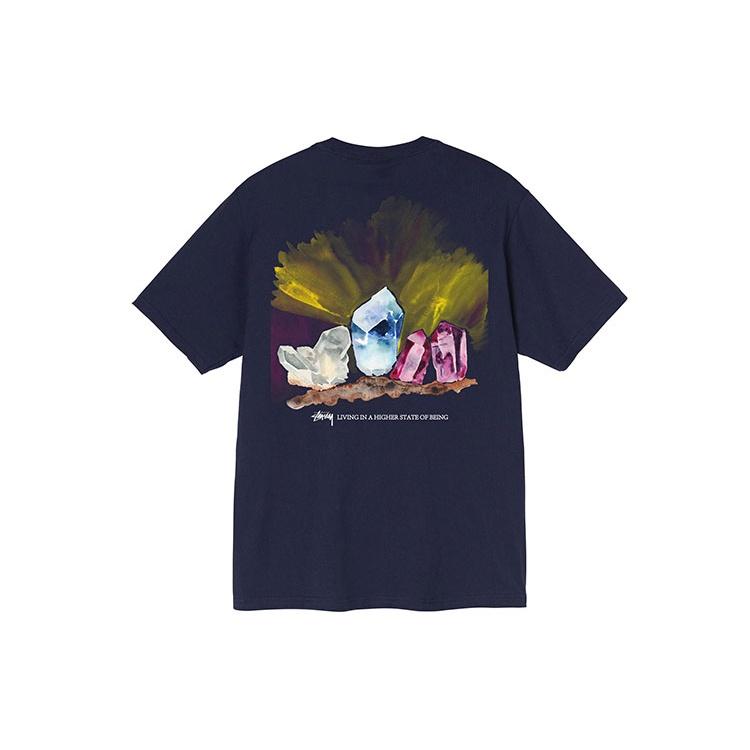 Stussy Higher State Tee Unisex 1904709