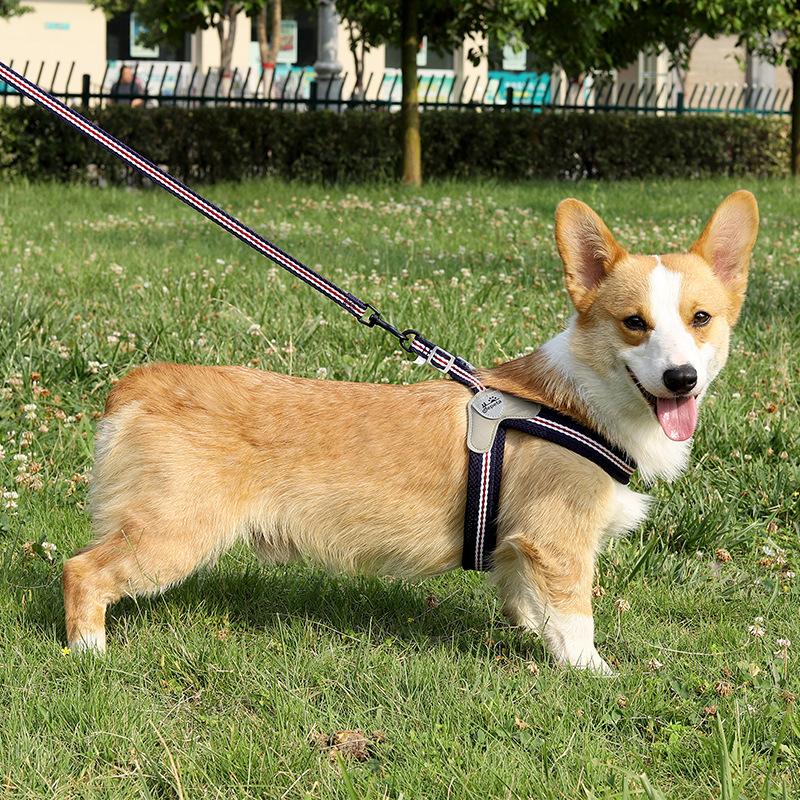 New leash pet leash dog leash vest type dog chest strap walking dog pet supplies
