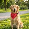 Adjustable Pet Saliva Towel Red Dog Bib Corgi Pet Triangle Scarf  Dog Saliva Absorbing