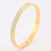 Starry Sky Silver Titanium Steel Bracelet for Women - High-End, Versatile, Full Diamond, Non-Fading Fashion Accessory