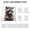 Raccoon Cute Cushion Cover Pillowcase Ultra Soft Skin Friendly Fabric Cloud Like Comfort & Concealed Zipper
