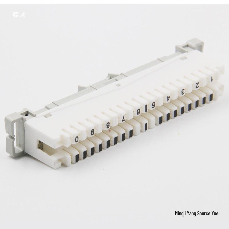 

YOUYSI All-Copper Silver-Plated 10-Pair Krone Telephone Module - Voice Message Patch Panel Cable Strip. Krone Label Cover