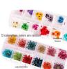 Nail Art 3D Real Dried Flowers - 12 Colors Lace Design