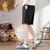 Paul Camel Men's Summer Breathable Quick-Dry Casual Shorts