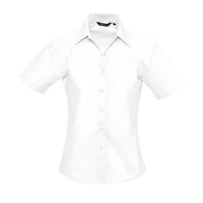 Womens/Ladies Elite Oxford Short-Sleeved Business Blouse