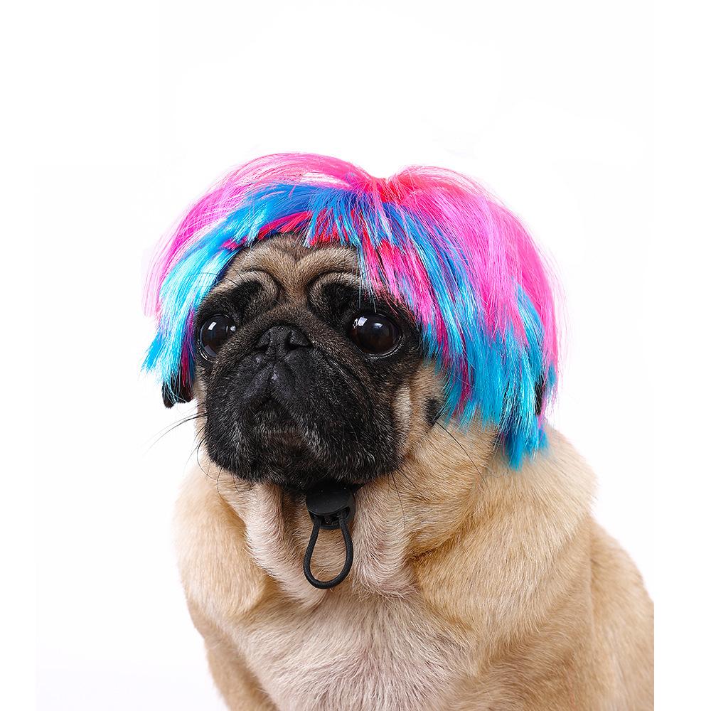 

Розовый причудливый голубой парик для питомца, разработанный для Хэллоуина и праздничных торжеств с питомцами