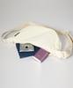 Yellowstone Light Half Moon Hobobag - Ivory