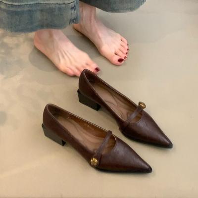 Retro Mary Jane Shoes Women's Spring Autumn Brown Light Mouth High Heels One Button Thick Heels Pointed Toe Temperament Pumps