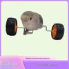 Parrot Balance Bike Toy: Skill Training Roller Skateboard for Small/Medium Birds